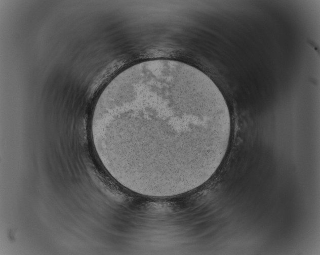 X0000103960250200810101251