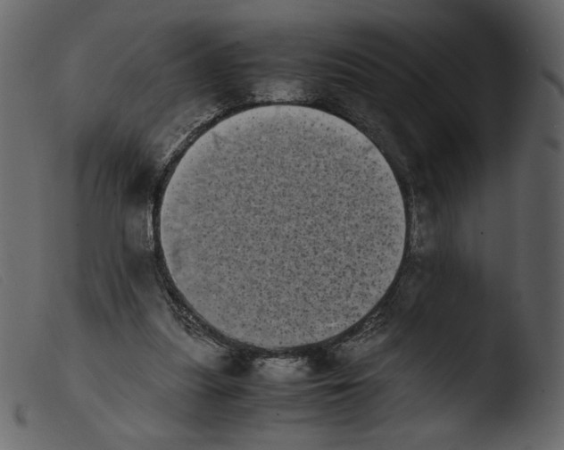 X0000103960251200810101251