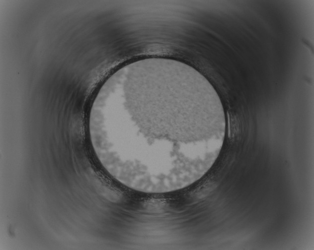 X0000103960252200810101251