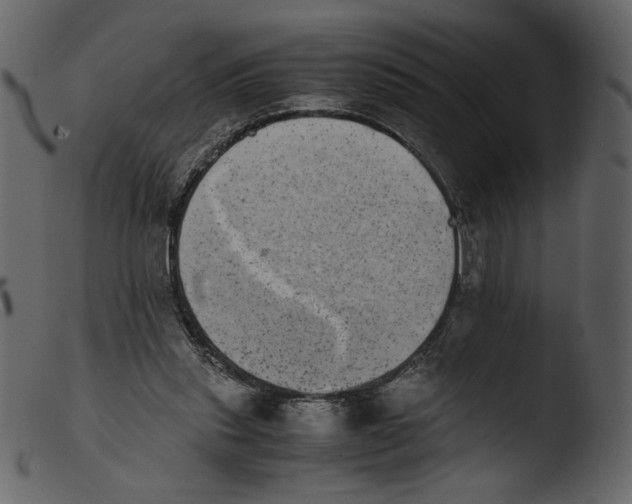 X0000103960253200810101251