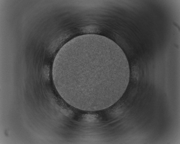 X0000103960255200810101251