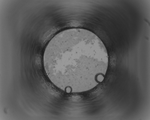 X0000103960256200810101251