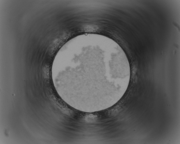 X0000103960257200810101251