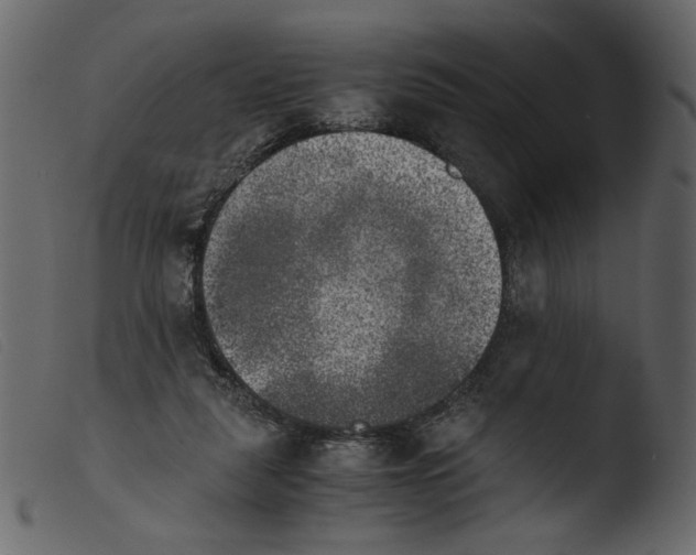 X0000103960259200810101251