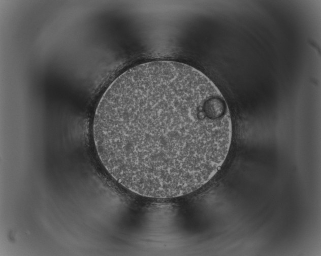 X0000103960260200810101251