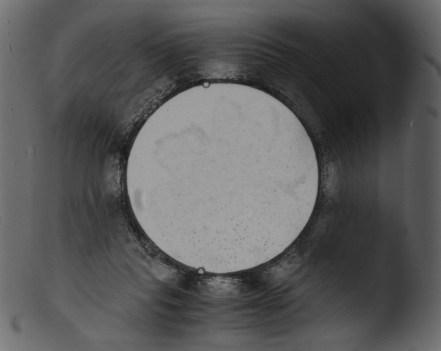 X0000103960261200810101251