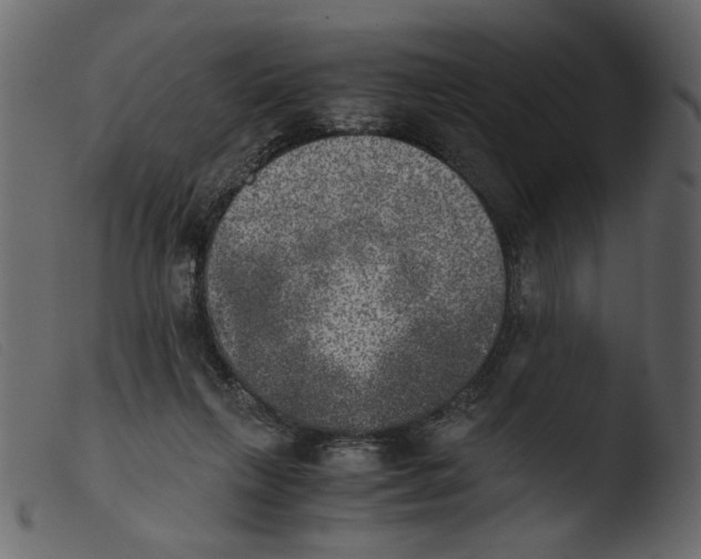 X0000103960263200810101251