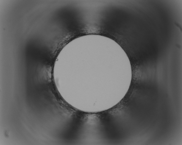 X0000103960264200810101251