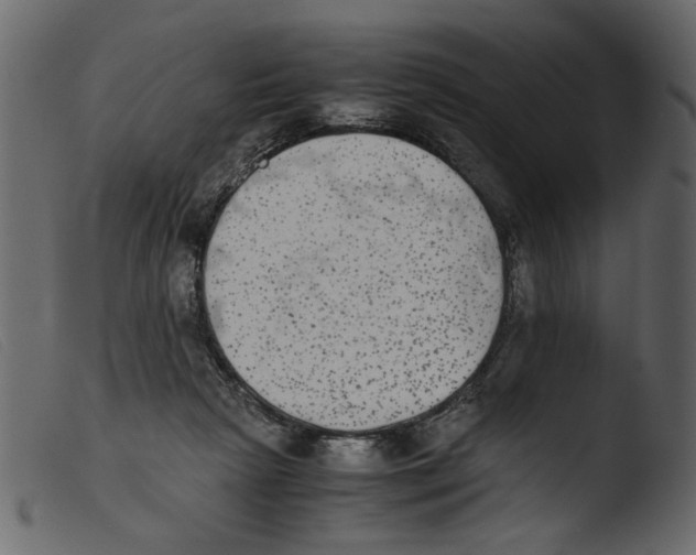 X0000103960265200810101251