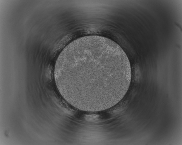 X0000103960266200810101251