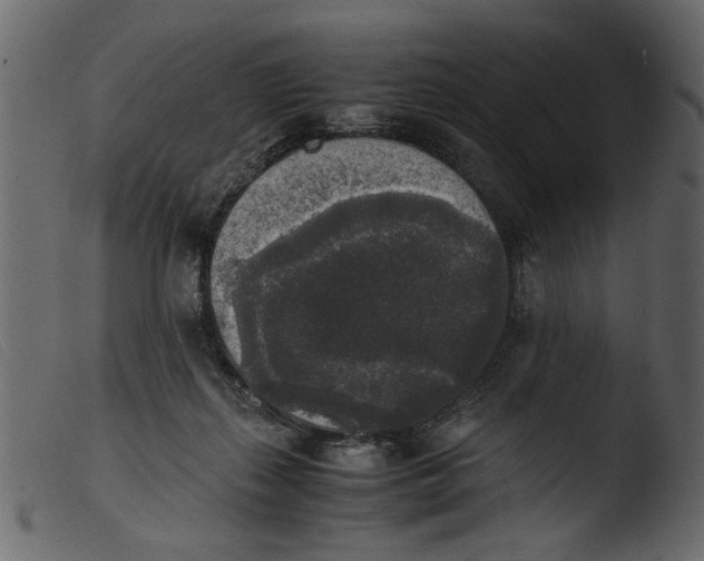 X0000103960267200810101251