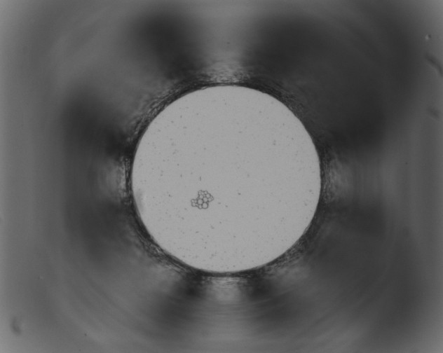 X0000103960268200810101251