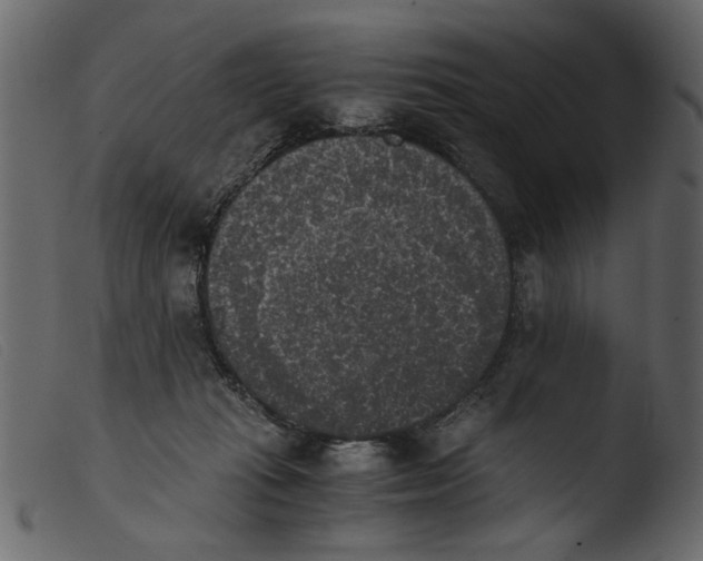 X0000103960269200810101251