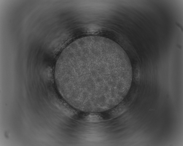 X0000103960270200810101251