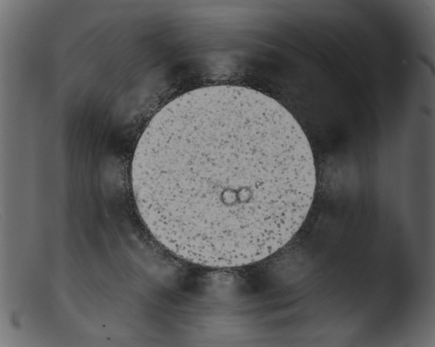 X0000103960272200810101251