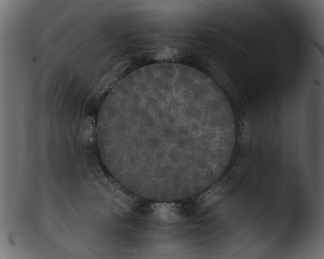 X0000103960273200810101251