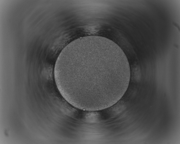 X0000103960274200810101251