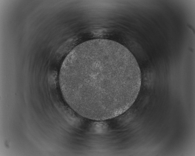 X0000103960275200810101251