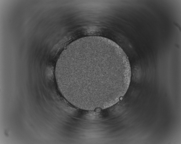 X0000103960278200810101251