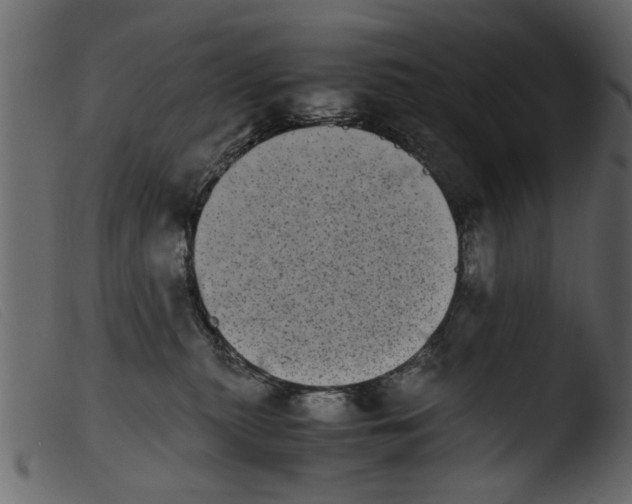 X0000103960279200810101251