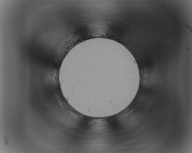 X0000103960280200810101251