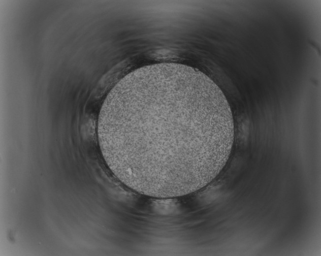 X0000103960281200810101251