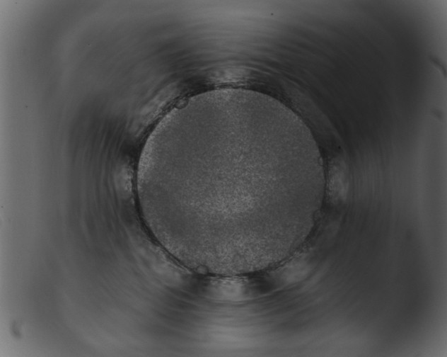 X0000103960282200810101251