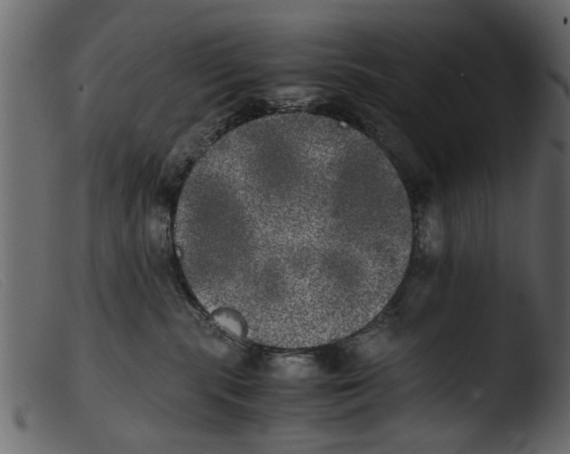 X0000103960283200810101251