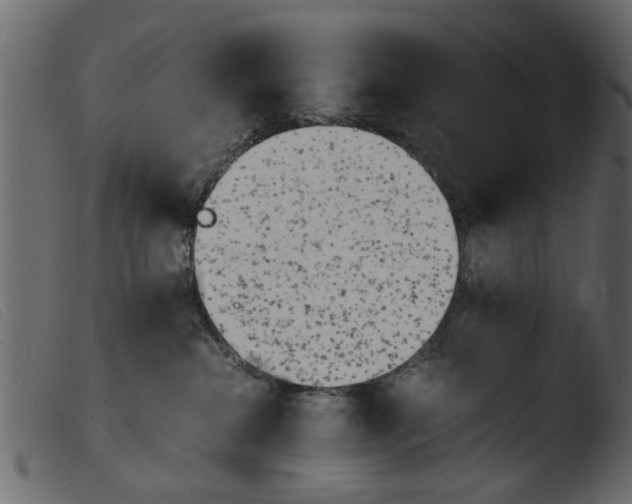 X0000103960284200810101251