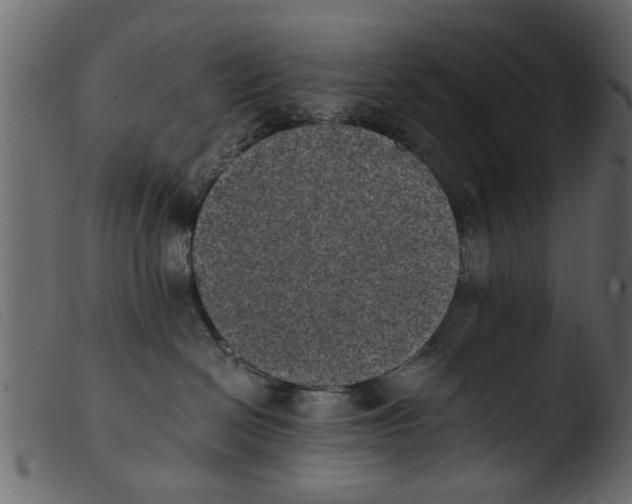 X0000103960286200810101251