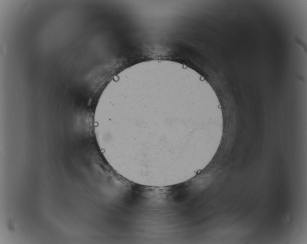 X0000103960288200810101251