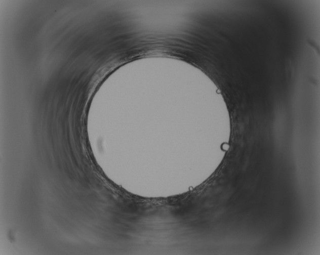 X0000103960289200810101251