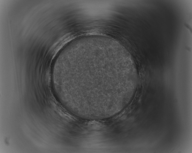 X0000103960290200810101251