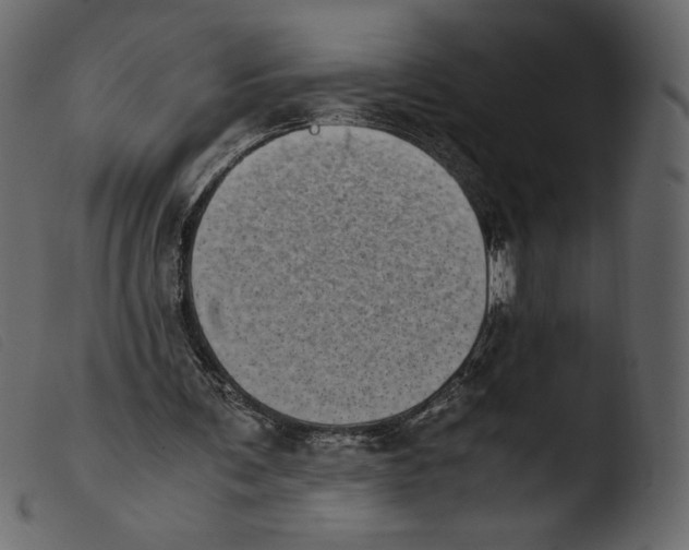 X0000103960291200810101251