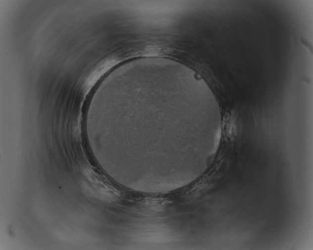 X0000103960292200810101251