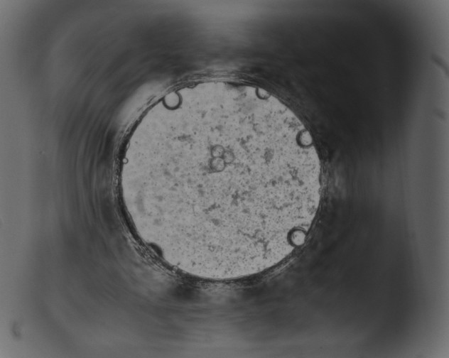 X0000103960293200810101250