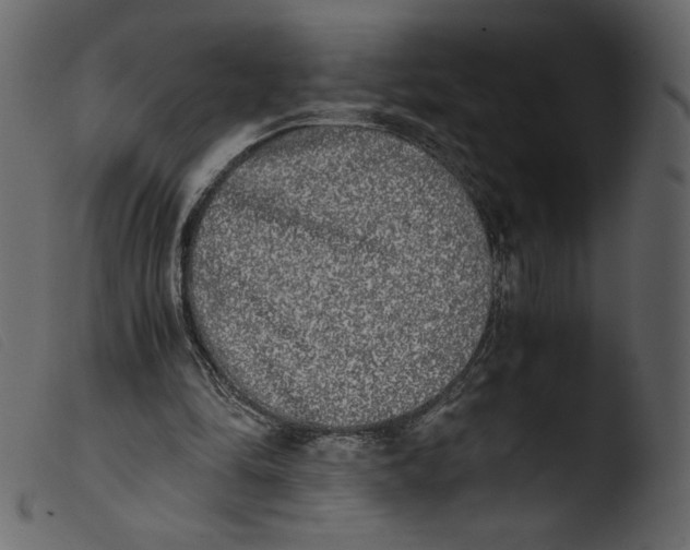 X0000103960294200810101250