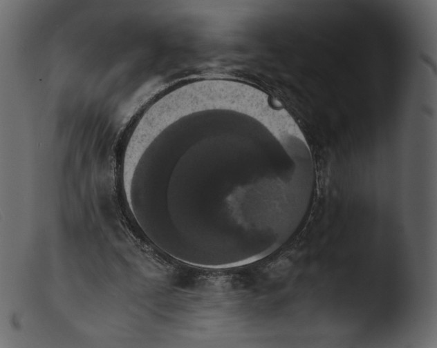 X0000103960295200810101250