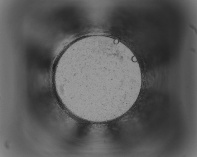 X0000103960296200810101250