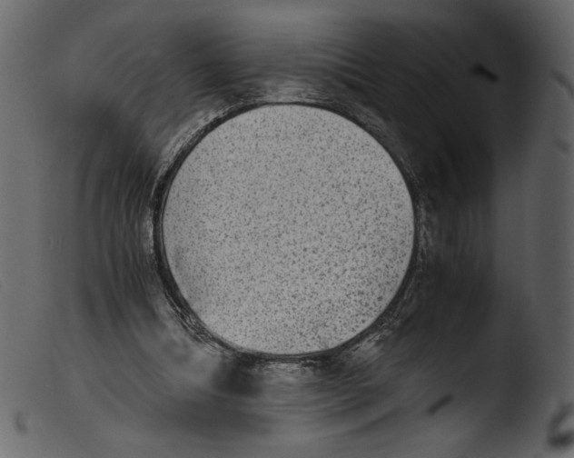 X0000103960298200810101250