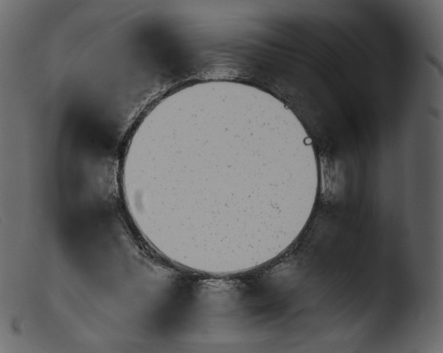 X0000103960300200810101250