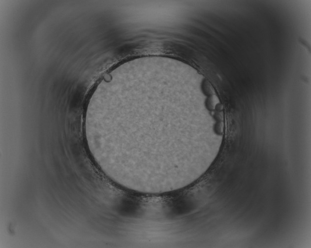 X0000103960301200810101250