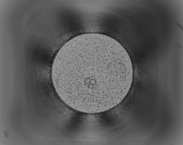 X0000103960305200810101250