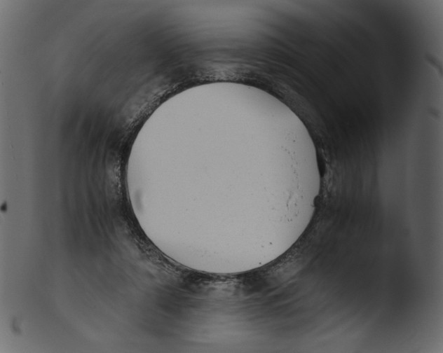 X0000103960306200810101250