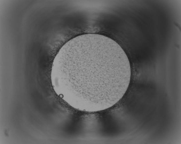 X0000103960307200810101250