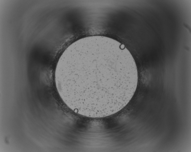 X0000103960308200810101250