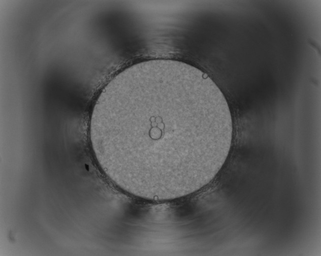 X0000103960309200810101250