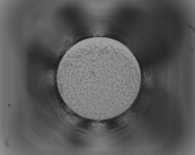 X0000103960311200810101250