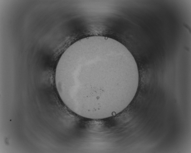 X0000103960313200810101250