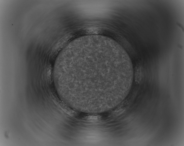 X0000103960314200810101250